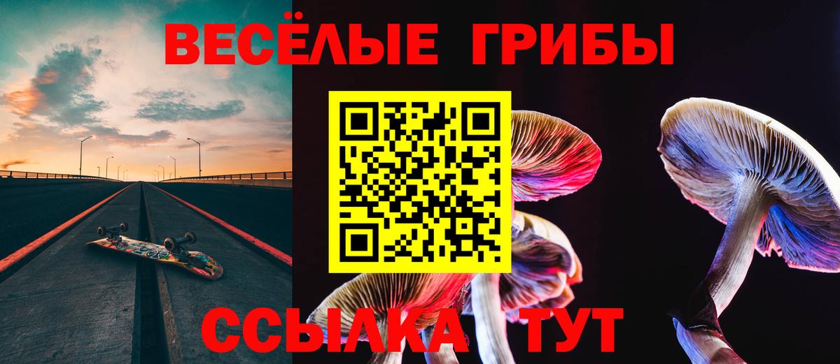 Тавда  Псилоцибиновые грибы Cubensis  Вход с VPN 